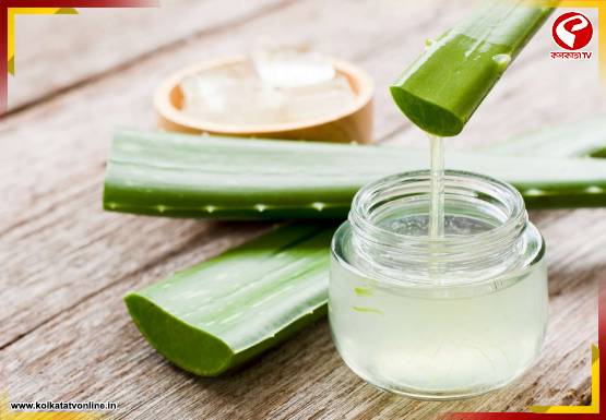 ত্বক না বুঝেই অ্যালোভেরা জেল মাখছেন? সঠিক উপায়ে না মাখলেই ক্ষতি