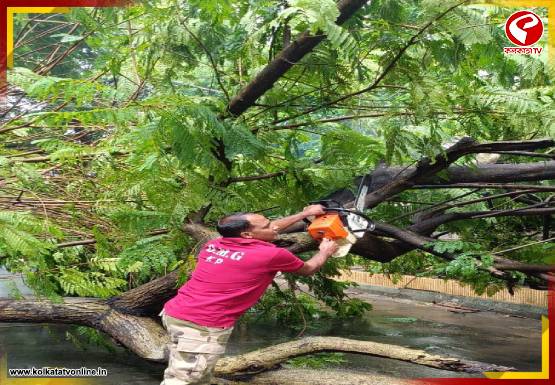 বানভাসি শহরকে স্বাভাবিক ছন্দে ফেরাতে মাঠে নামল কলকাতা পুলিশের ডিএমজি