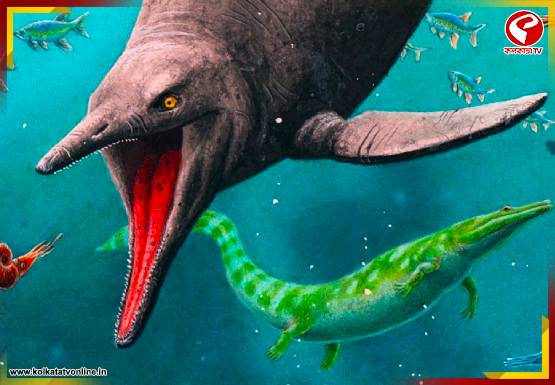 সমুদ্রের অন্ধকার জগতে আজও বেঁচে আছে জলজ ডাইনোসরের দল!