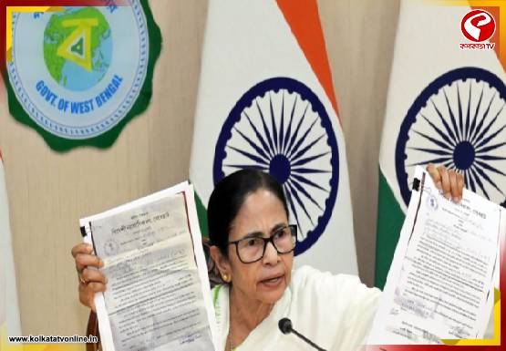 SIR বিরোধিতায় সরব তৃণমূল, নভেম্বরের শুরুতেই শহিদ মিনারে মমতা–অভিষেকের সভা