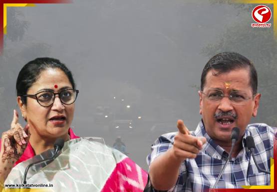 দিল্লির দূষণ নিয়ে BJP-কে নিশানা AAP বিধায়কের! কী বললেন দেখুন