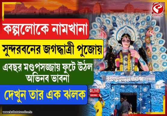 সুন্দরবনের নামখানায় জগদ্ধাত্রী পুজোয় ‘কল্পলোক’
