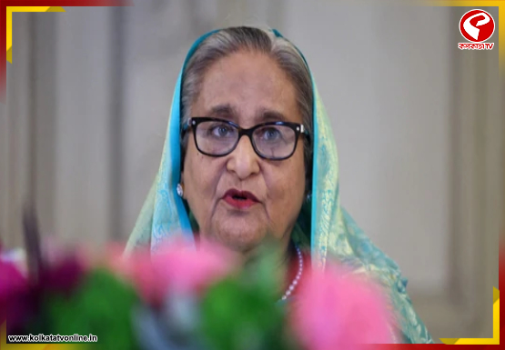 হাসিনার বিরুদ্ধে রায় ‘রাজনৈতিকভাবে মোটিভেটেড”!