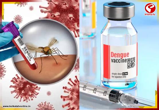ডেঙ্গি নিয়ে আতঙ্কের দিন শেষ! ট্রায়ালে সফল সিঙ্গেল-ডোজ ভ্যাকসিন