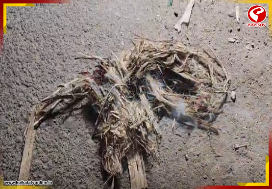 জগৎবল্লভপুরে দুষ্কৃতীদের তাণ্ডব! আহত দুই