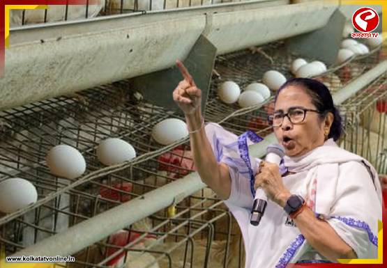 ডিমের অস্বাভাবিক মূল্যবৃদ্ধি নিয়ে কেন্দ্রকে তোপ! কী বললেন মমতা?