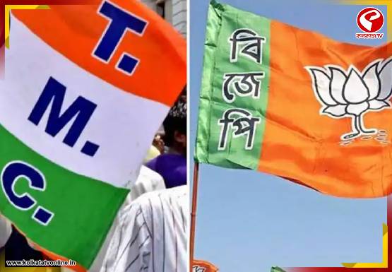 তৃণমূল নেতাকে মারধর, বিজেপি কর্মী গ্রেফতার!