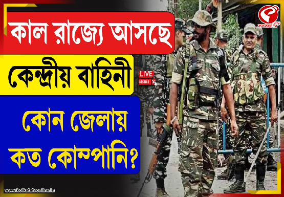 Breaking-Jacket-555x385-14