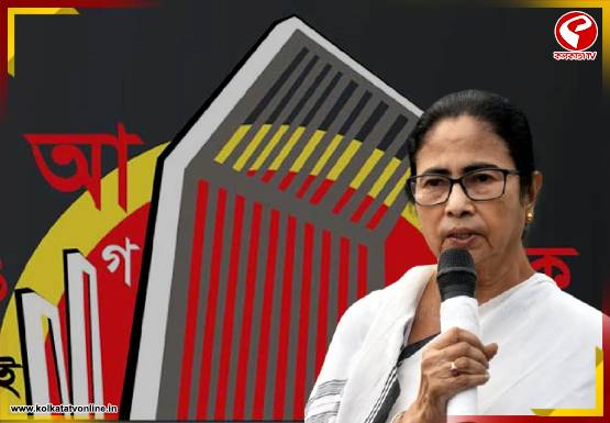 ‘ভাষার উপর আক্রমণ হলে…,’ মাতৃভাষা দিবসে দৃঢ় অঙ্গীকার মুখ্যমন্ত্রীর