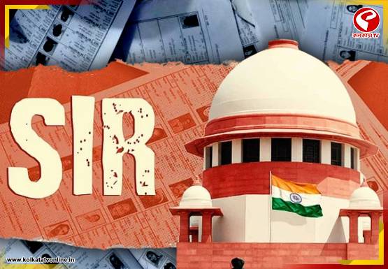 Breaking-Jacket-555x385-2026-02-24T181519.235