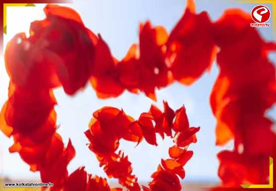 প্রেমের ঢেউয়ে ভাসবে ৫ রাশি! কার ভাগ্যে প্রপোজ, কার সম্পর্কে নতুন মোড়?