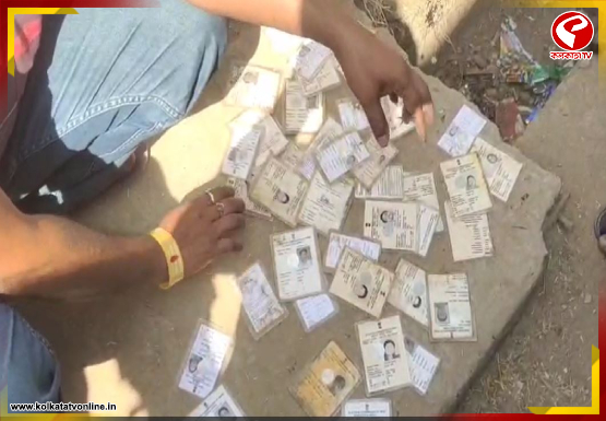 New-Project-2026-02-14T163257.172-2