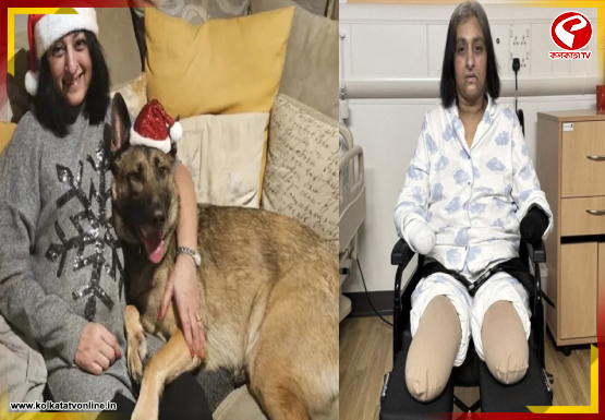 New-Project-2026-02-24T134941.667-1