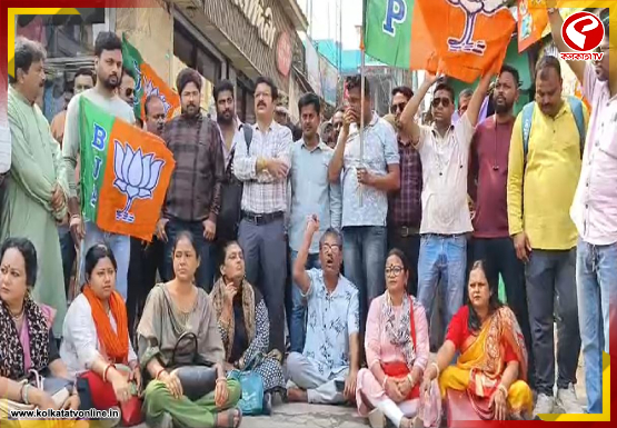 New-Project-2026-02-25T164817.556