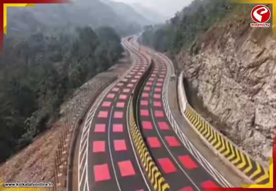 বাঘ-চিতার সুরক্ষায় ‘লাল ব্লক’ হাইওয়ে! ভারতের প্রথম ওয়াইল্ডলাইফ-সেফ রোডে গতি কমবে কীভাবে?