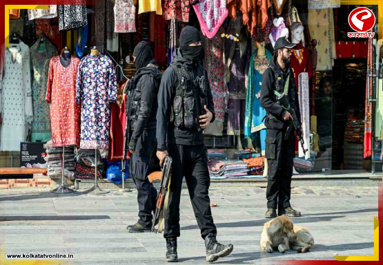 internal-jacket-Recovered-2026-02-15T175201.812