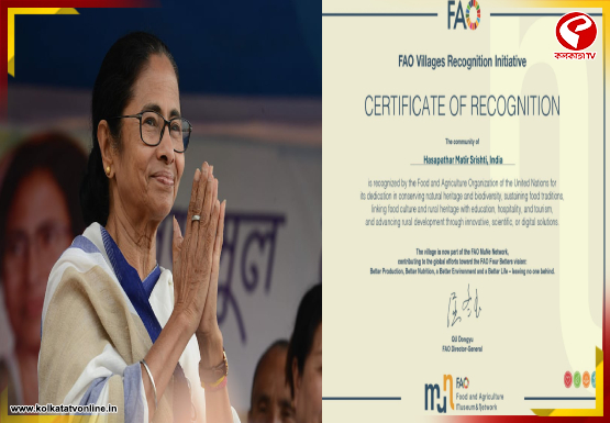 internal-jacket-Recovered-2026-02-18T164259.928-1