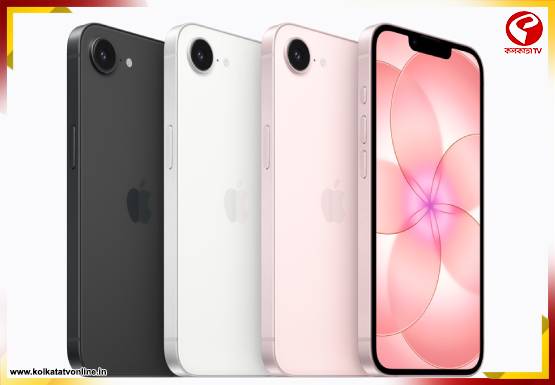 Breaking-Jacket-555x385-2026-03-02T202714.793