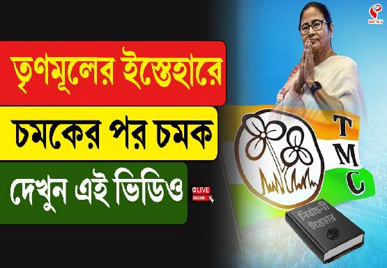 তৃণমূলের ইস্তেহারে চমকের পর চমক! কী রয়েছে ‘দিদির ১০ প্রতিজ্ঞা’য়? দেখে নিন একনজরে