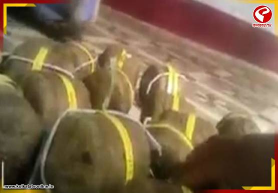 ভোটের আগে বীজপুরে উদ্ধার বোমা