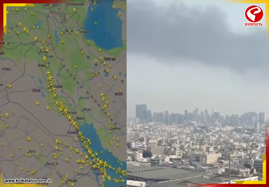 New-Project-2026-03-01T165532.652