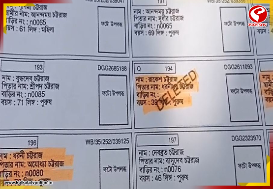 New-Project-2026-03-02T160505.521