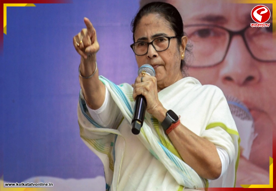 internal-jacket-Recovered-2026-03-08T182054.684