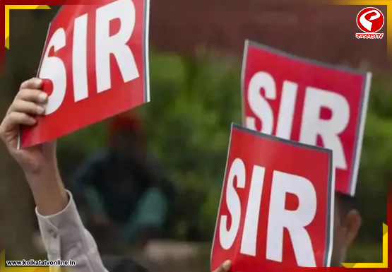 internal-jacket-Recovered-2026-03-29T191010.245