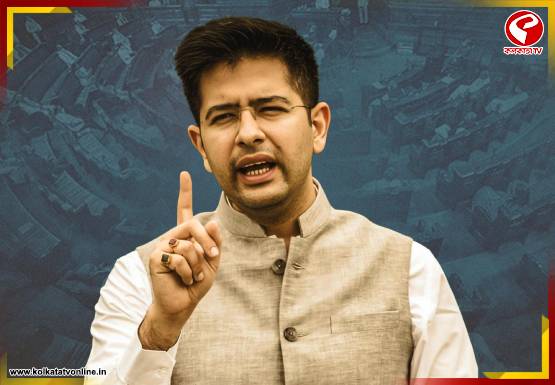 রাঘব চাড্ডার ‘জেড প্লাস’ নিরাপত্তা কাড়ল পাঞ্জাব সরকার! দলের সঙ্গে নেতার ফাটল কি আরও বাড়ল?