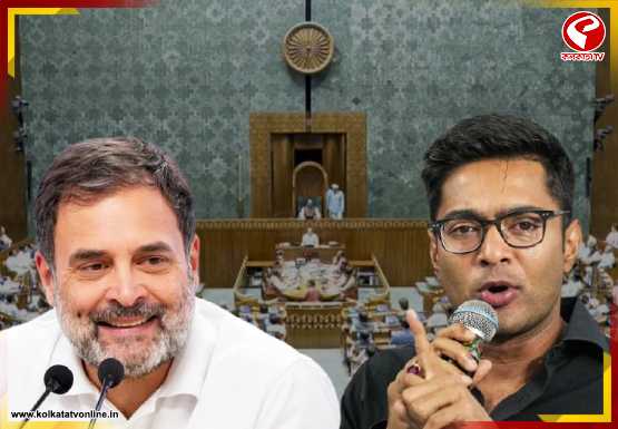 মোদি সরকারের বিরুদ্ধে একজোট বিরোধীরা! ফোন করে অভিষককে কী বললেন রাহুল গান্ধী?