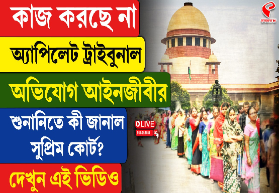 কাজ করছে না অ্যাপিলেট ট্রাইবুনাল, অভিযোগ আইনজীবীর, শুনানিতে কী জানাল সুপ্রিম কোর্ট?