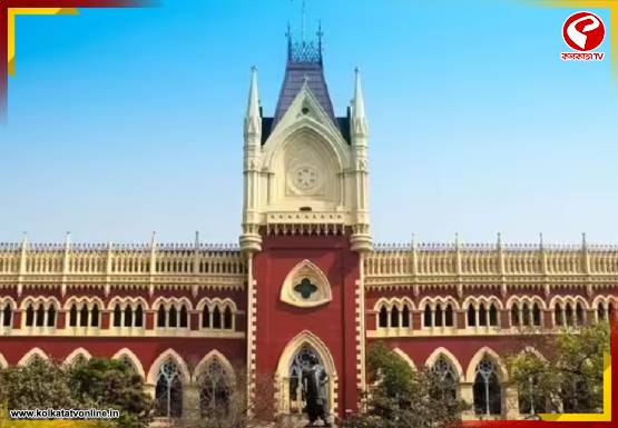 প্রিসাইডিং অফিসার নিয়োগে নিয়ে জটিলতা! অধ্যাপক সংগঠনকে কী বলল হাইকোর্ট? দেখুন বড় খবর