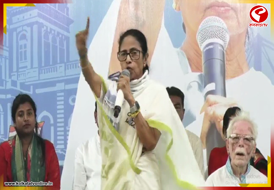 বাজেটে ৪% ডিএ বাড়ানো হয়েছে, চেপে রেখেছে কমিশন, মন্তব্য মমতার