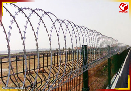 ভারত-বাংলাদেশ সীমান্তে কাঁটাতারের বেড়া মামলা, রাজ্যের রিপোর্টে চরম ক্ষুব্ধ কলকাতা হাইকোর্ট