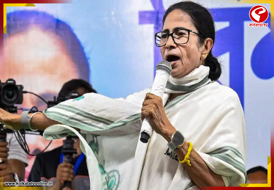 ‘আমার গাড়ির কাছেও এসেছিল কেন্দ্রীয় বাহিনী’, বললাম চেক করো’, বিস্ফোরক অভিযোগ মমতার