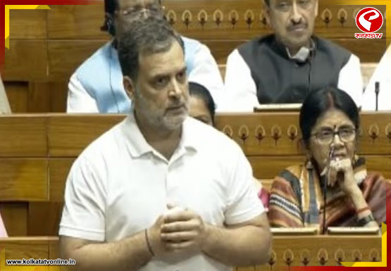 ‘ম্যাজিশিয়ান ধরা পড়ে গিয়েছে’ সংসদে দাঁড়িয়ে মোদিকে আক্রমণ রাহুলের!