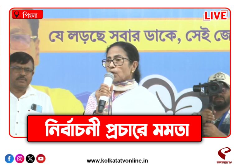 বার্নল-বোরোলিন কমিশন লাগাবে, ‘আইসক্রিম দেব’ বলছেন মমতা