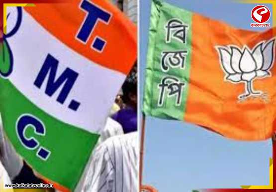 পোস্টার ঘিরে উত্তেজনা! রাজপুর-সোনারপুরে হামলার অভিযোগে তৃণমূলের দিকে আঙুল বিজেপির