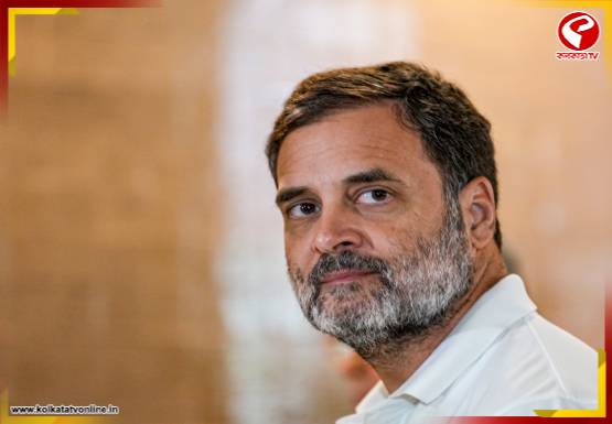 রাহুল গান্ধীর দ্বৈত নাগরিকত্ব মামলা,  সরে দাঁড়ালেন খোদ বিচারপতি