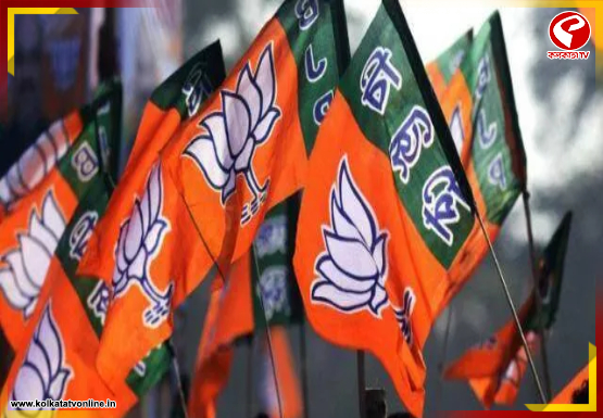 New-Project-2026-02-12T165213.396-1