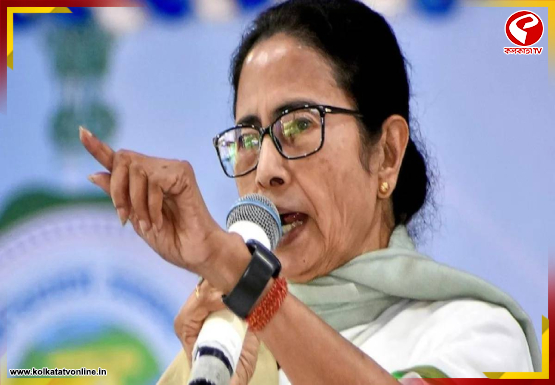 ‘রানওয়েতে ৩০ মিনিট আটকে বিমান’! অভিযোগ মমতার, কাঠগড়ায় বিজেপি