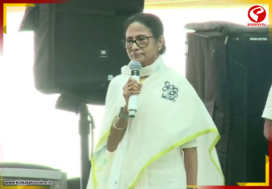 New-Project-2026-04-01T132617.381-4