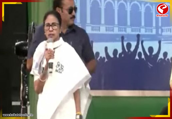 New-Project-2026-04-11T134613.257-5