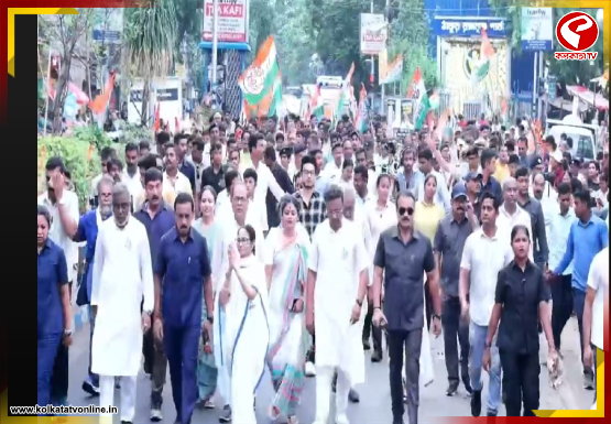 শেষ লগ্নের প্রচারে কলকাতার রাজপথে মমতা, তৃণমূলের মেগা র‍্যালি ঘিরে জনসমুদ্র
