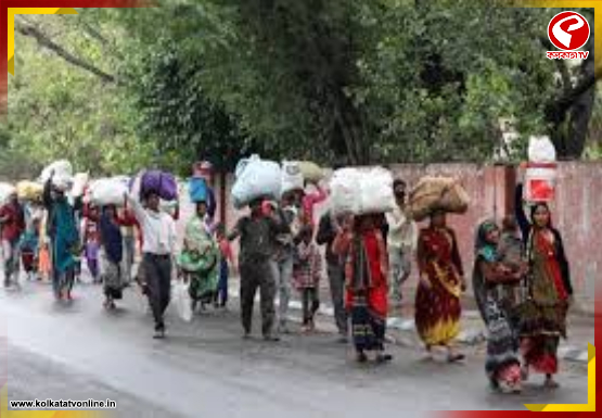 পরিযায়ী ভোট কোথায় গেল ? বড় উদ্বেগে বিজেপির কেন্দ্রীয় নেতৃত্ব