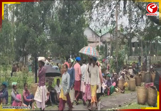 মে দিবস, বুদ্ধ পূর্ণিমার জন্য একদিন ছুটি ঘোষণা, ক্ষোভে ফুঁসছে আলিপুরদুয়ারের চা শ্রমিকেরা 
