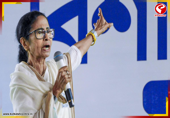 internal-jacket-Recovered-2026-04-04T144114.389