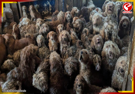 internal-jacket-Recovered-2026-04-10T161456.153