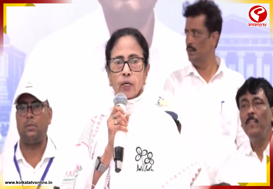 ‘রবিবার মধ্যরাত থেকেই ‘অপারেশন’ শুরু হবে’, আশঙ্কা প্রকাশ মমতা’র