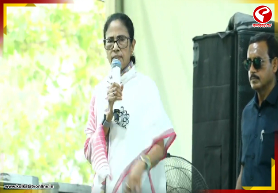 আইপ্যাকের কাজ বন্ধের খবর রটতেই কী বললেন মমতা?